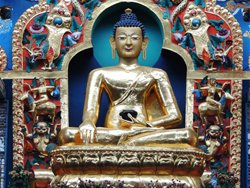 Domestic Destinations Intro - Coorg, Karnataka